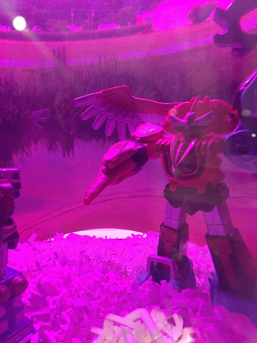 5mini megazords at bayou deelight pink copy_b.jpg