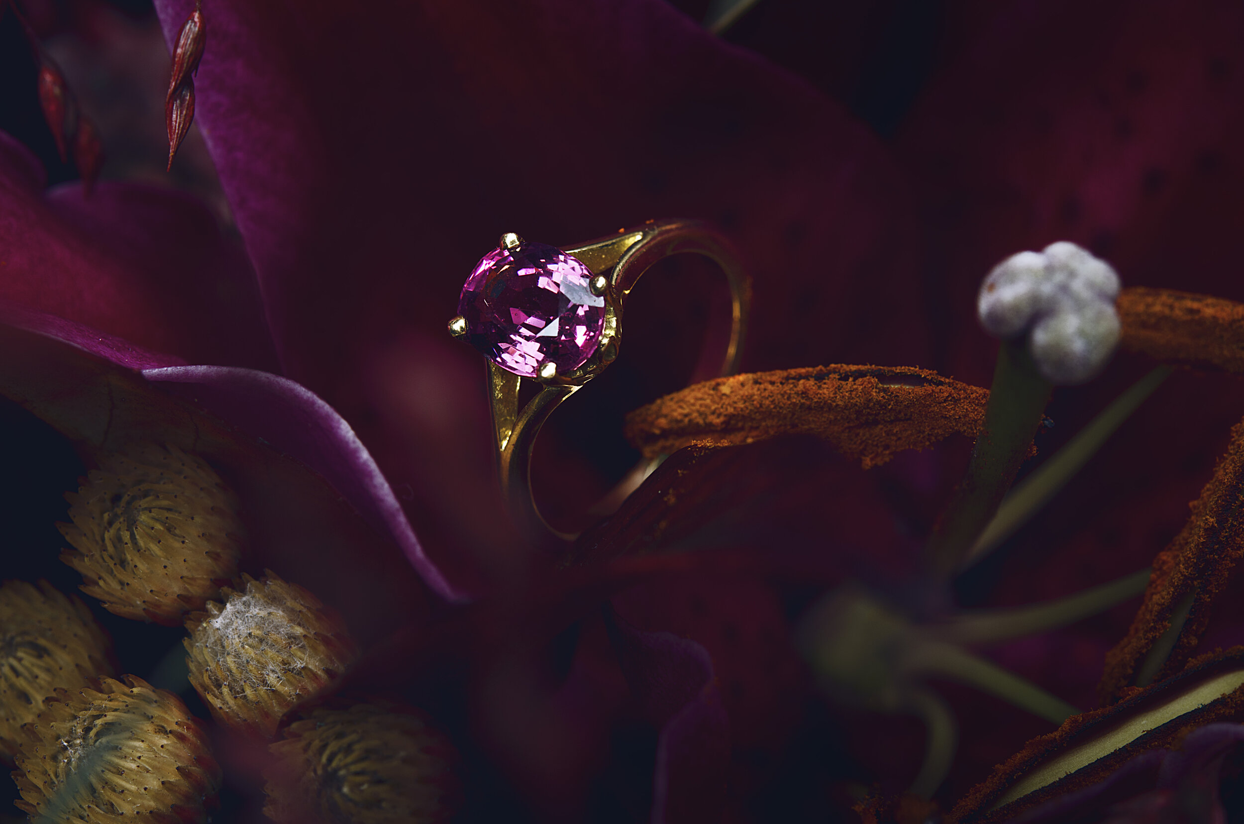 Les Fleurs