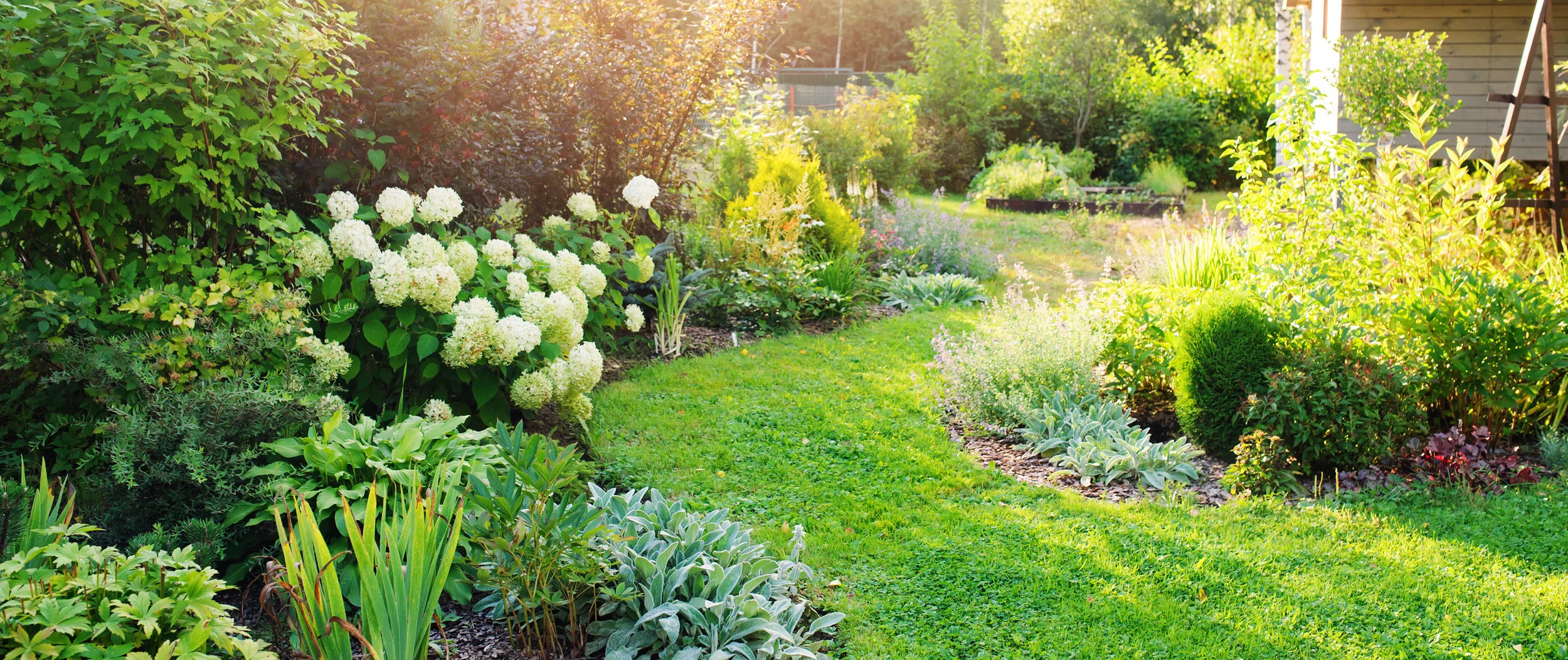 Summer's Bountiful Blessings