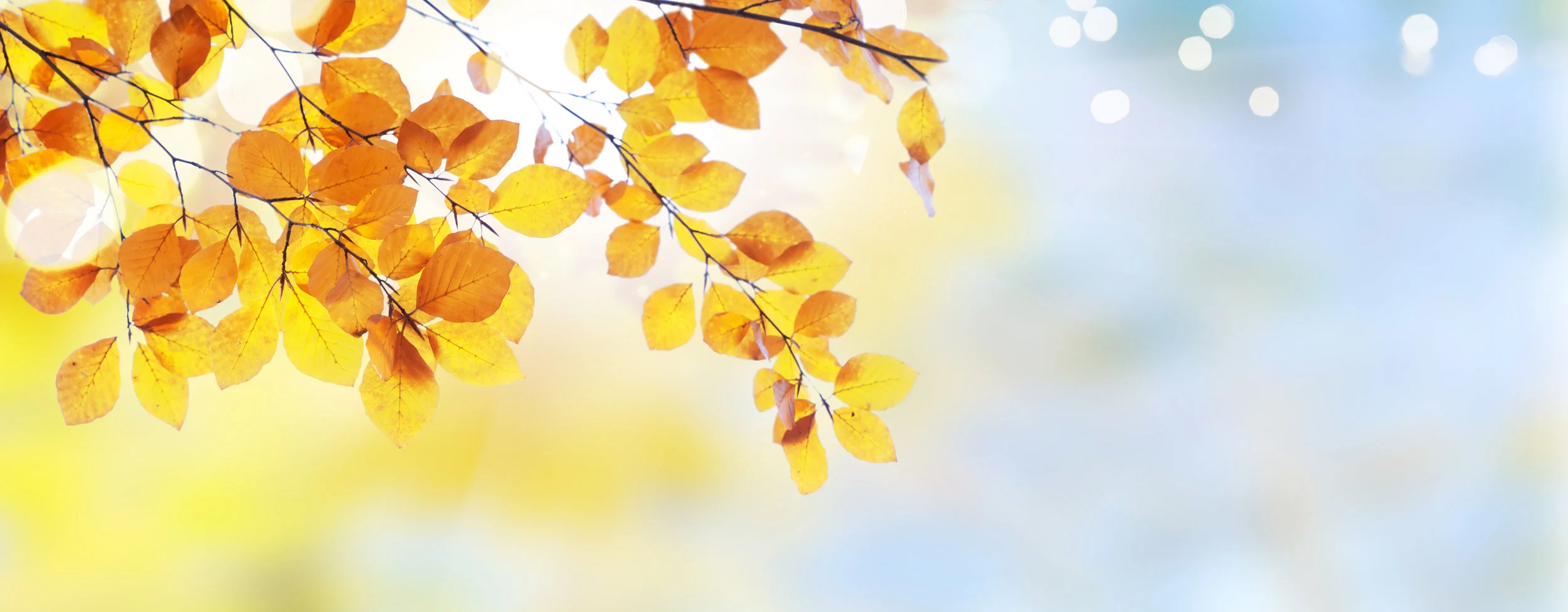 Seasons of God’s Faithfulness