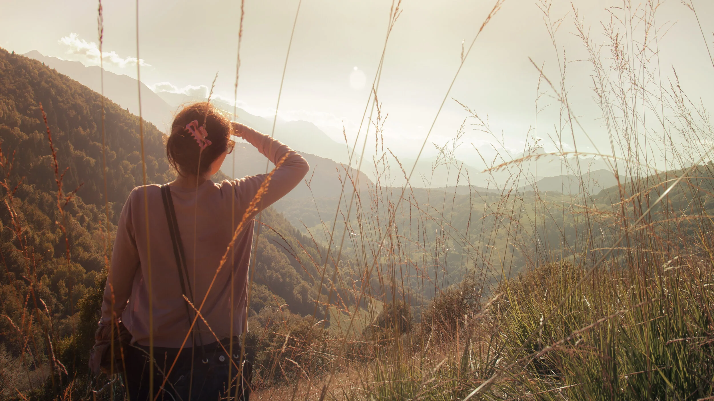 Seeking Your Purpose 