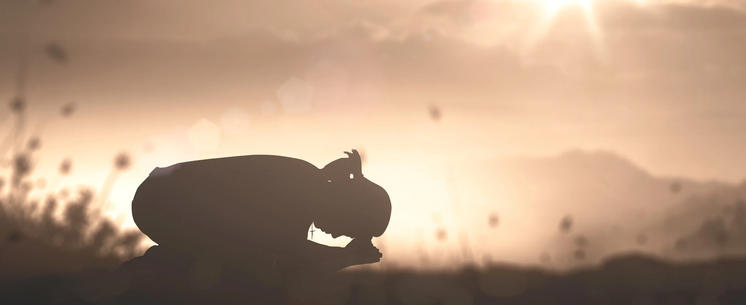 Dangerous Surrender: What Happens When You Say YES to God