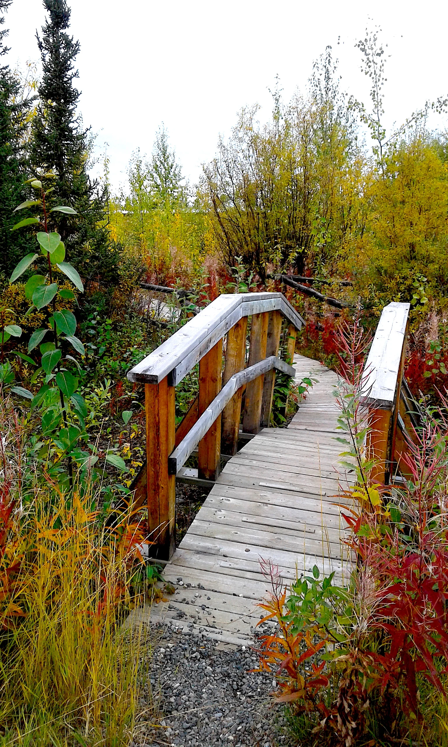 Bridge in Beaver Creek to Administration Building