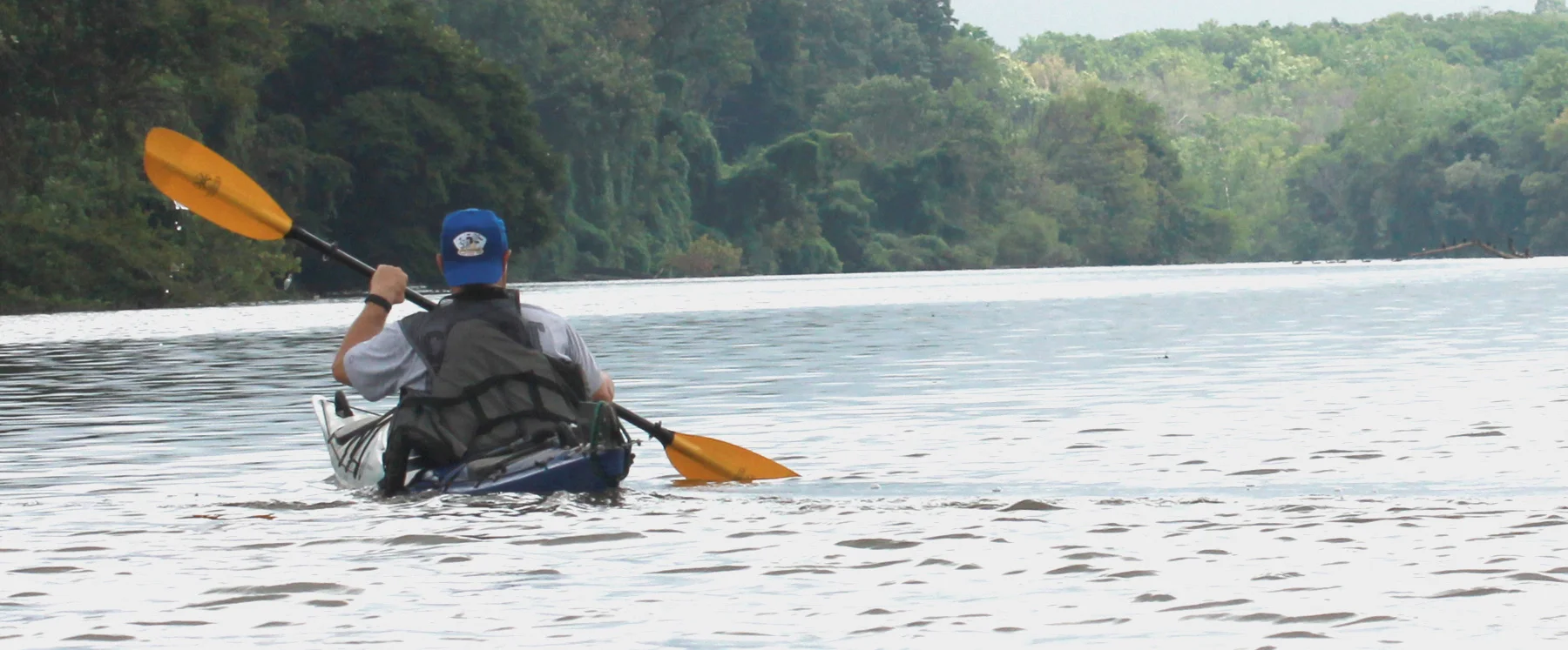 DC Council Introduces a Resolution to Declare 2018 the "Year of the Anacostia"