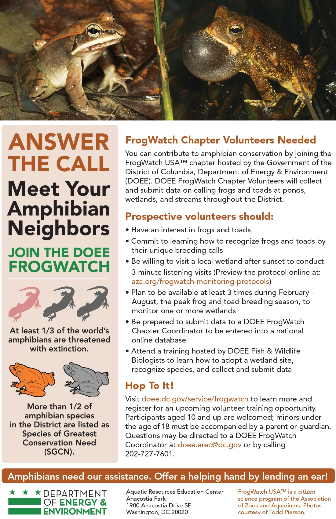 frogwatchflyer.jpg
