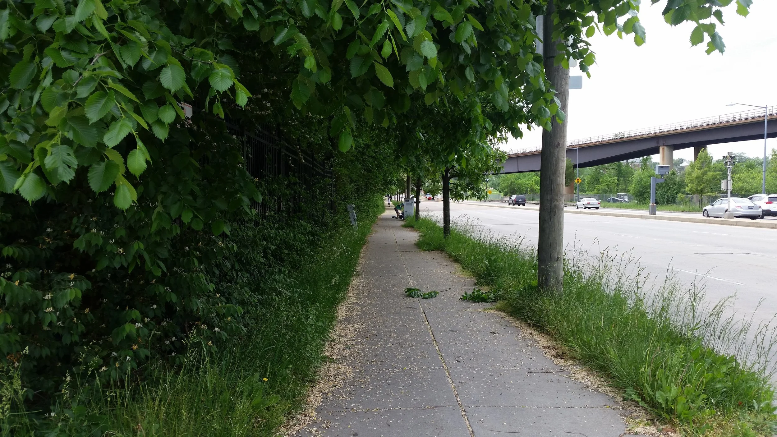 20170501_155851.jpg