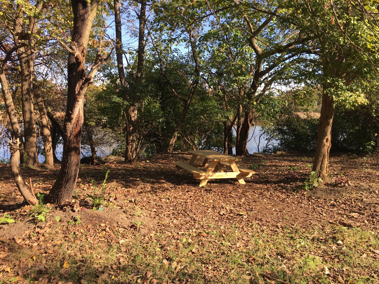 IMG_0084.jpeg