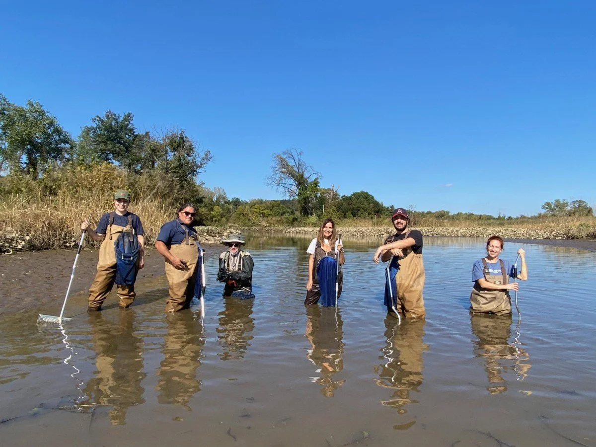 Mussel Survey in Kingman Lake