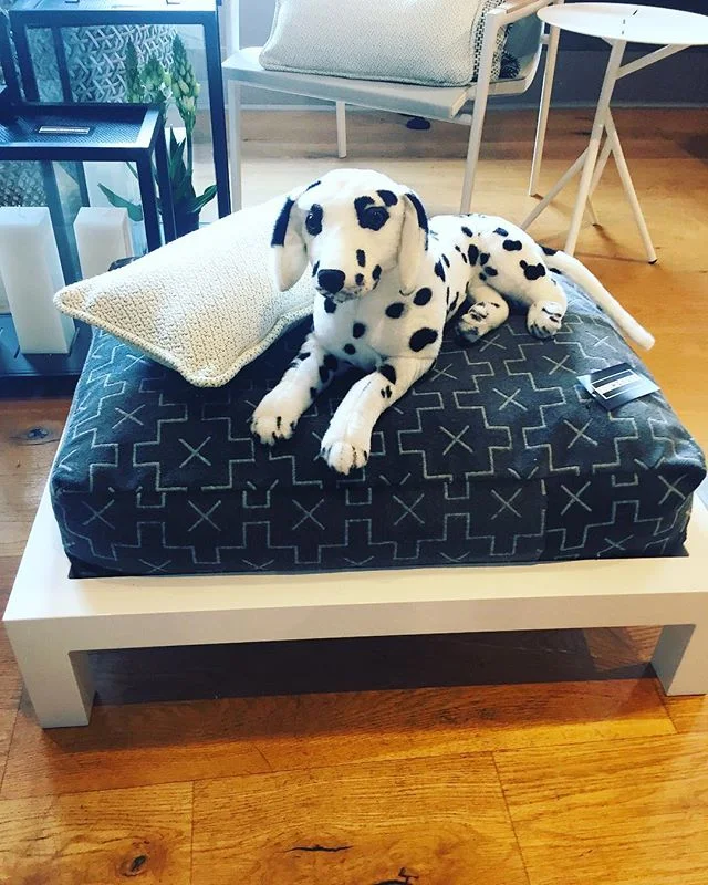 With a powder coated frame and custom cushion in any of our outdoor fabrics, Boywonder Design offers a stylish lounging bed for our four legged friends.  #pamperedpooch #dogbed #fourleggedfriends #dogfriendly #petaccessories #dogstyle #outdoorstyle #
