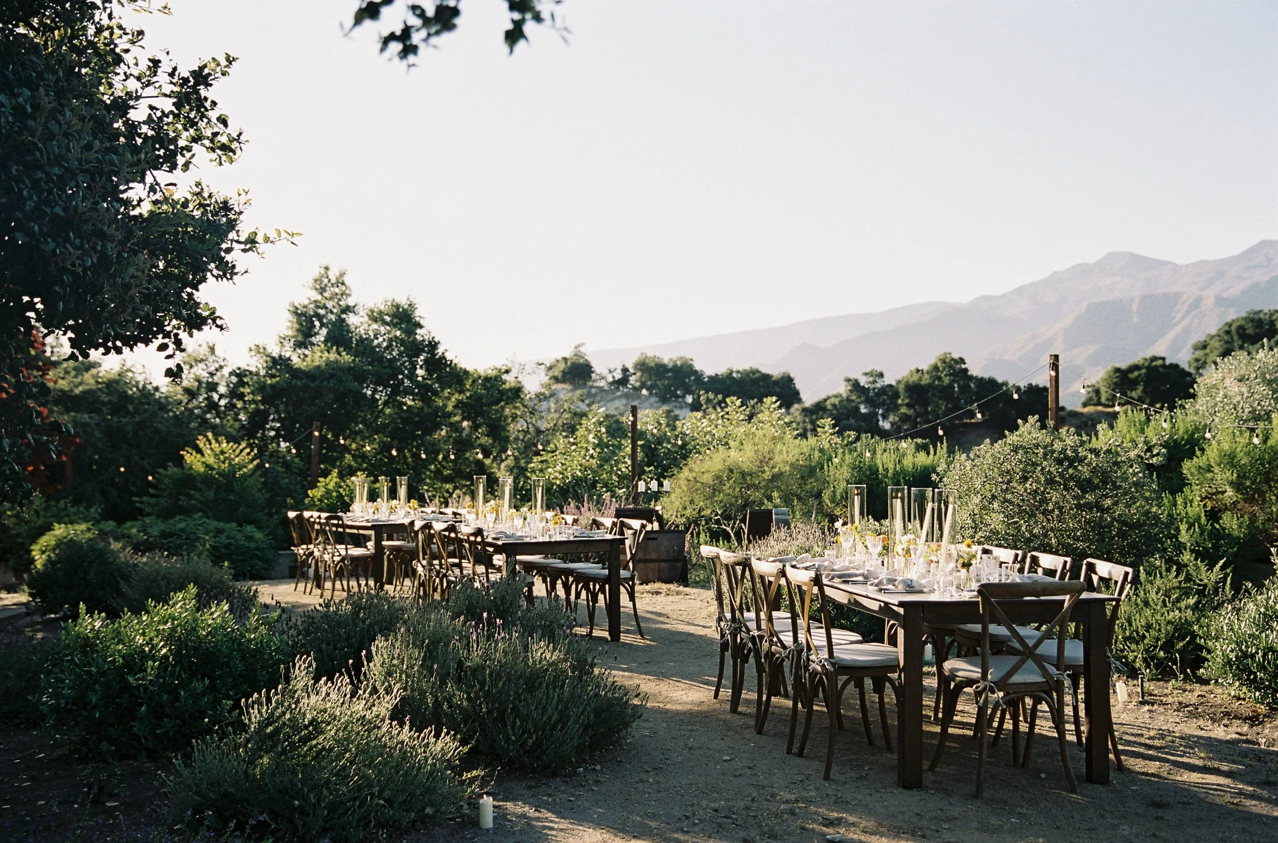 22_MadieIcePhotoOjaiCaliforniaBackyardWeddingDay_008.jpeg