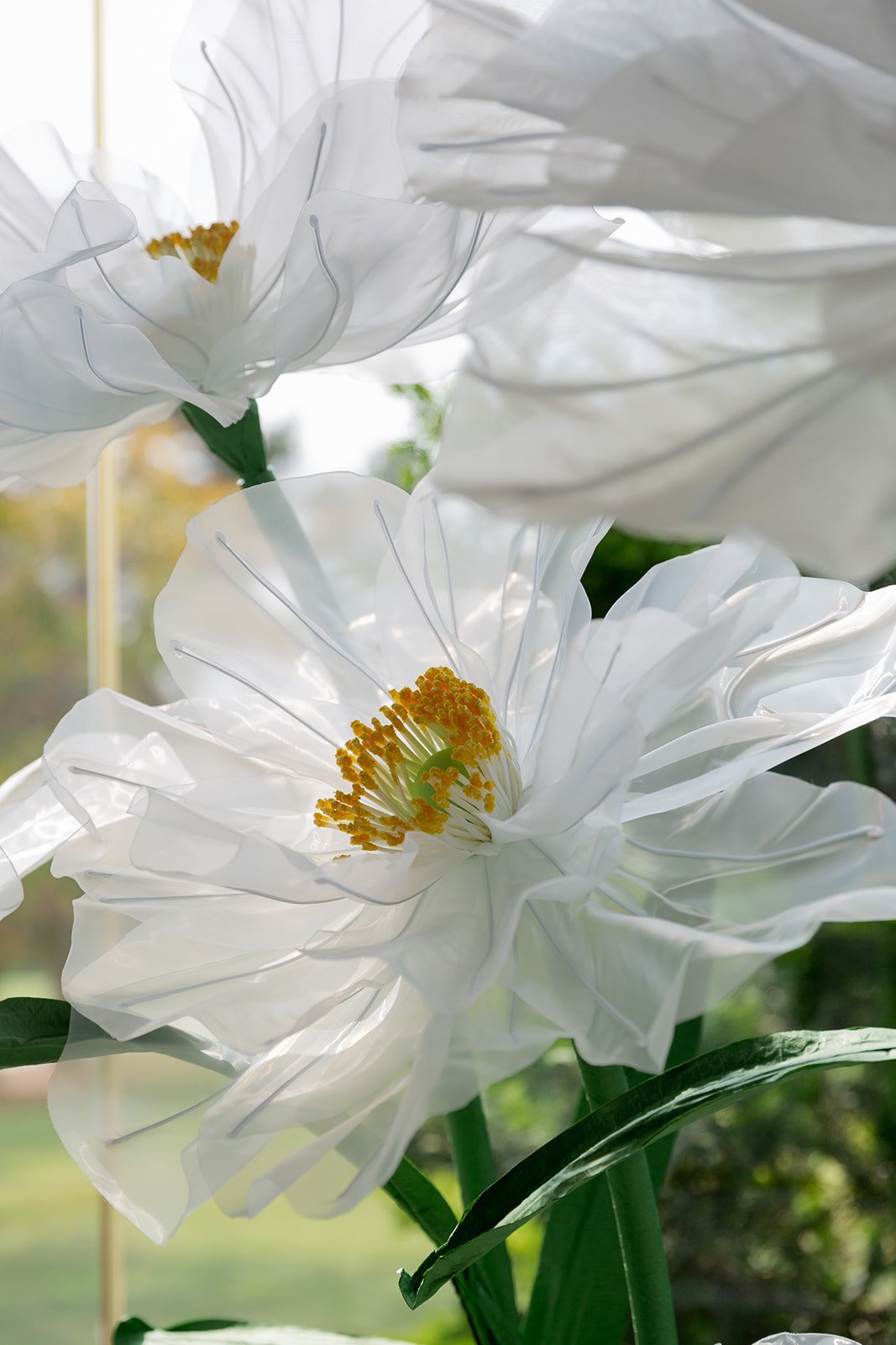 108_10-18FlowersbyYona_21884.jpg