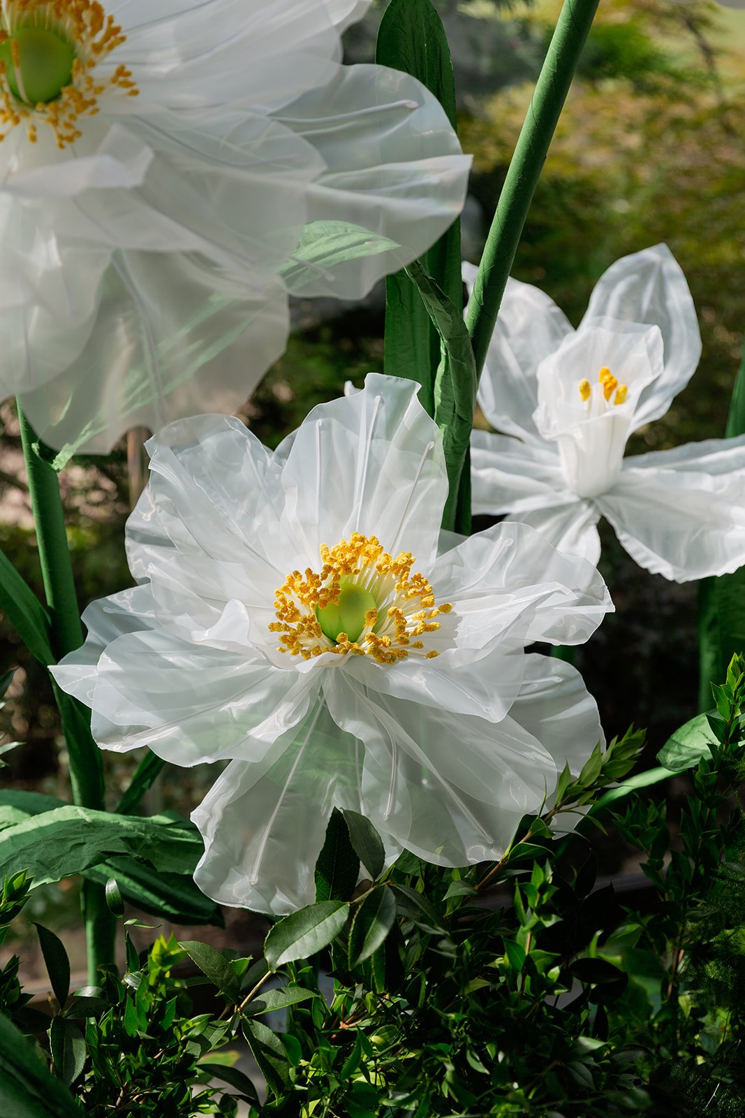 127_10-18FlowersbyYona_21914.jpg