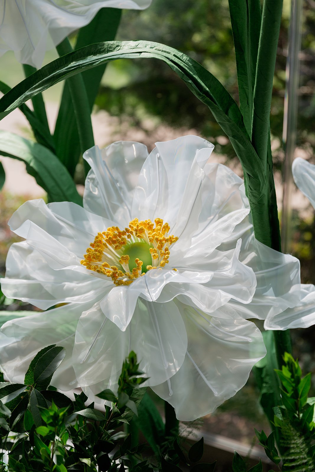 107_10-18FlowersbyYona_21882.jpg