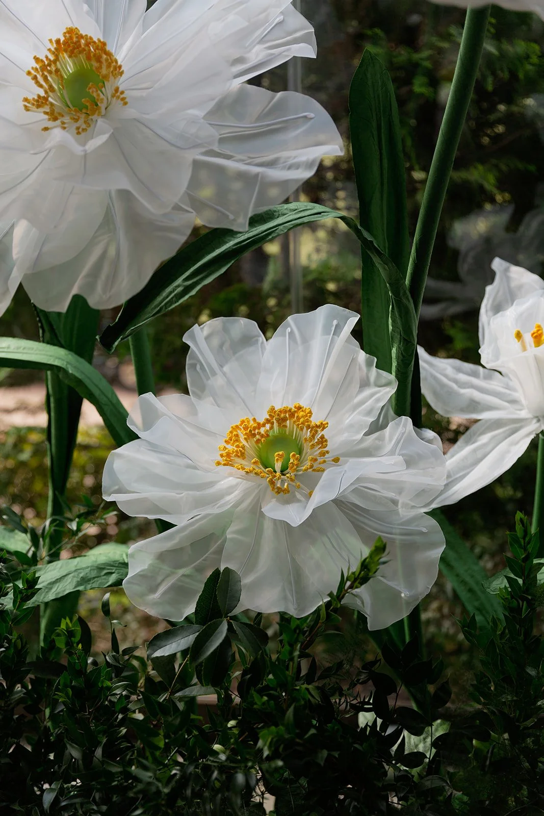 093_10-18FlowersbyYona_21855.jpg
