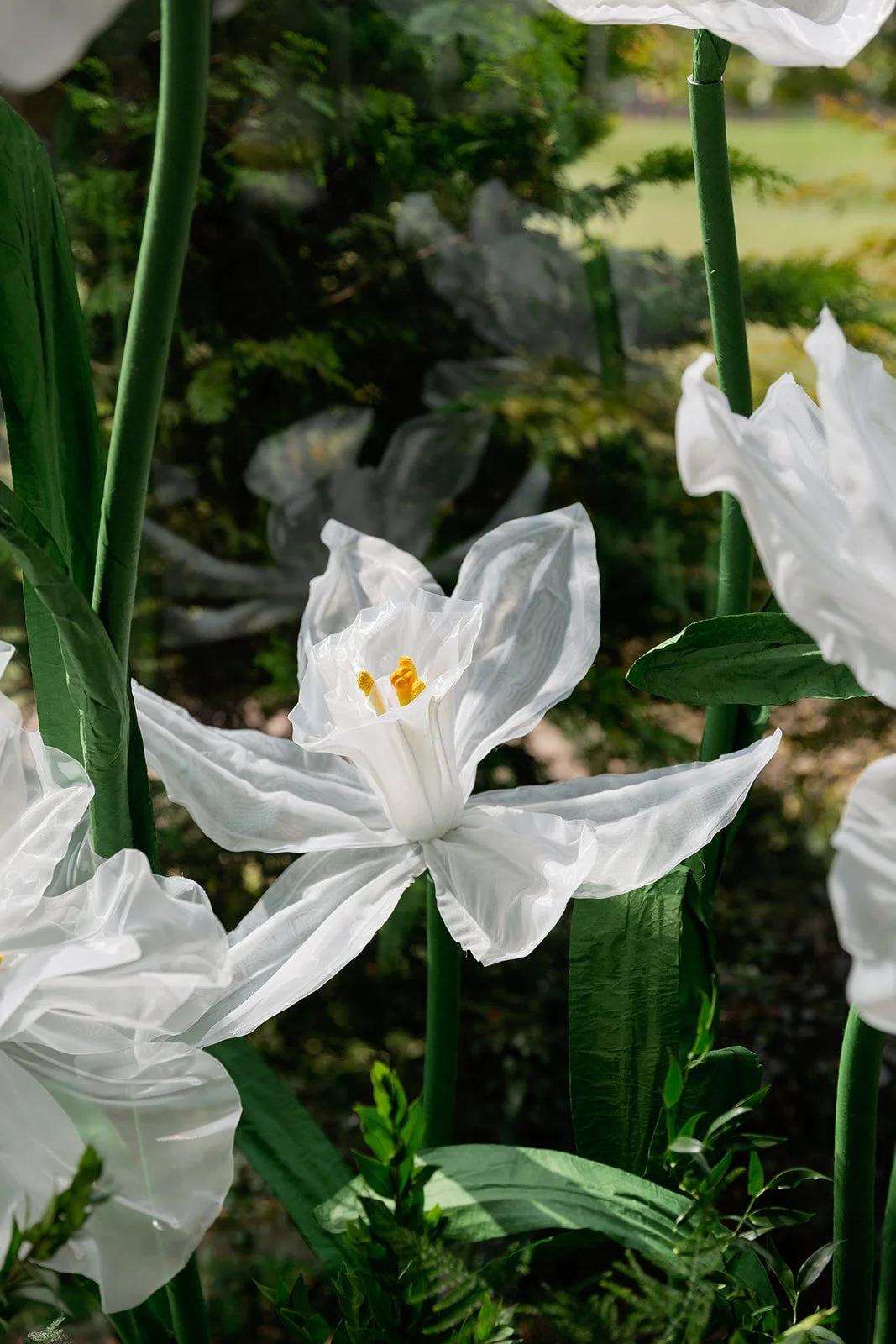 126_10-18FlowersbyYona_21913.jpg