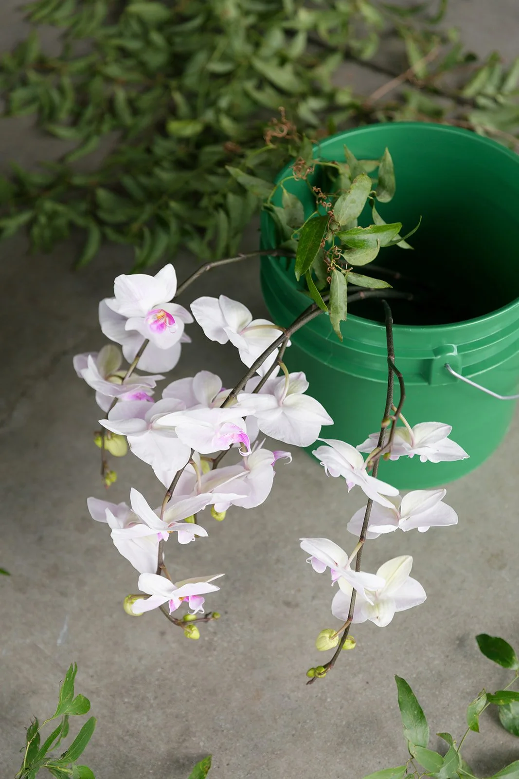 059_10-18FlowersbyYona_21785.jpg