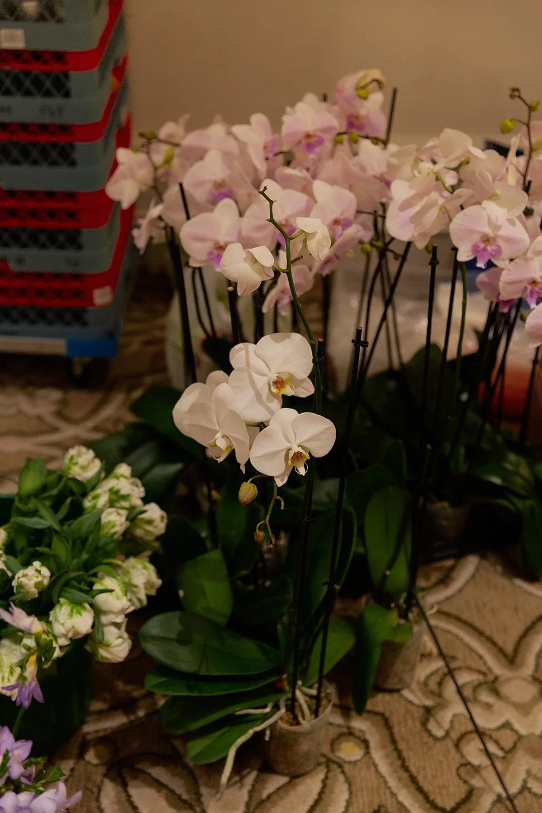 137_10-18FlowersbyYona_21936.jpg