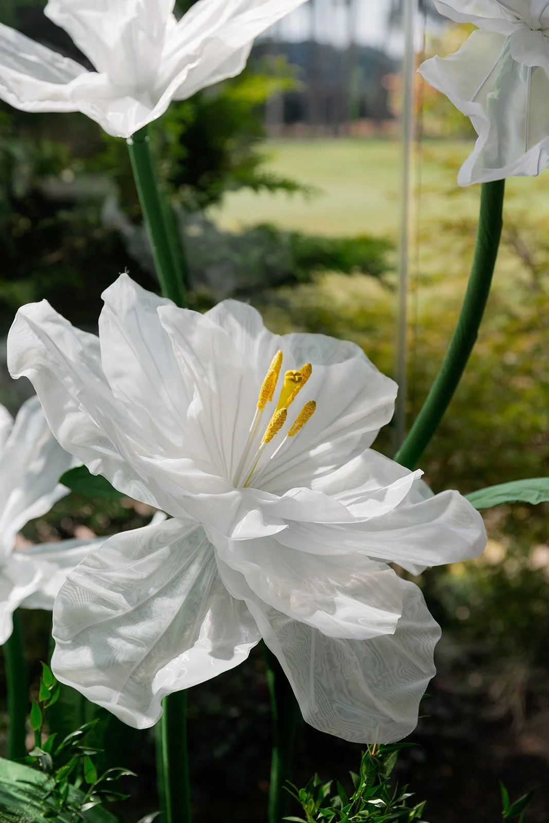 125_10-18FlowersbyYona_21912.jpg