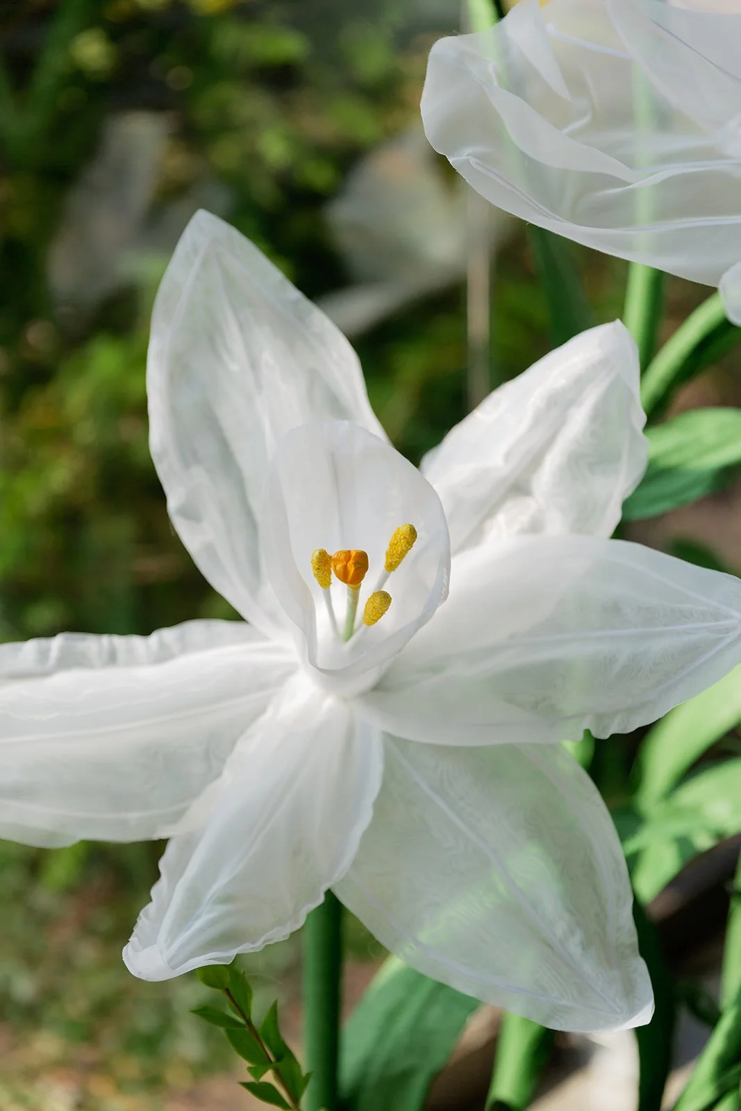 100_10-18FlowersbyYona_21866.jpg