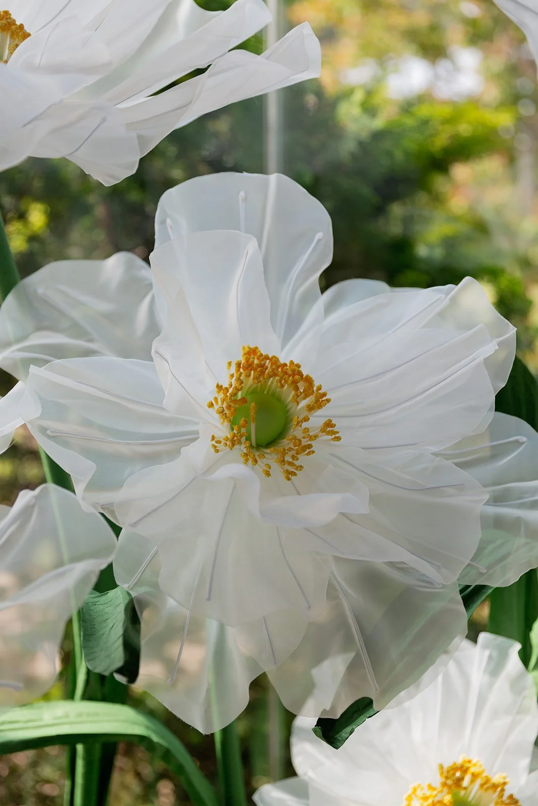 095_10-18FlowersbyYona_21859.jpg