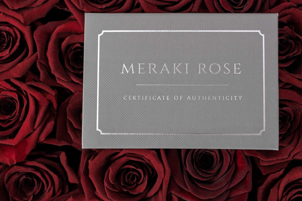 OUR-ROSES-1.jpg