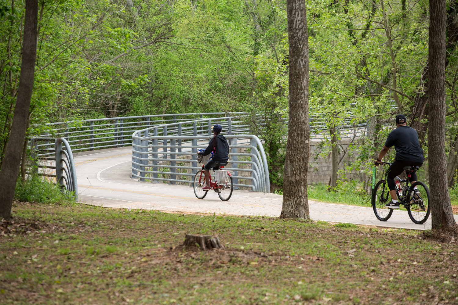 Halls Bayou. Photo by F. Carter Smith, Courtesy of Houston Parks Board