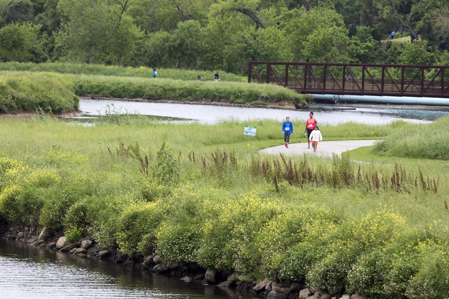 Brays Bayou. Photo by F. Carter Smith, Courtesy of Houston Parks Board
