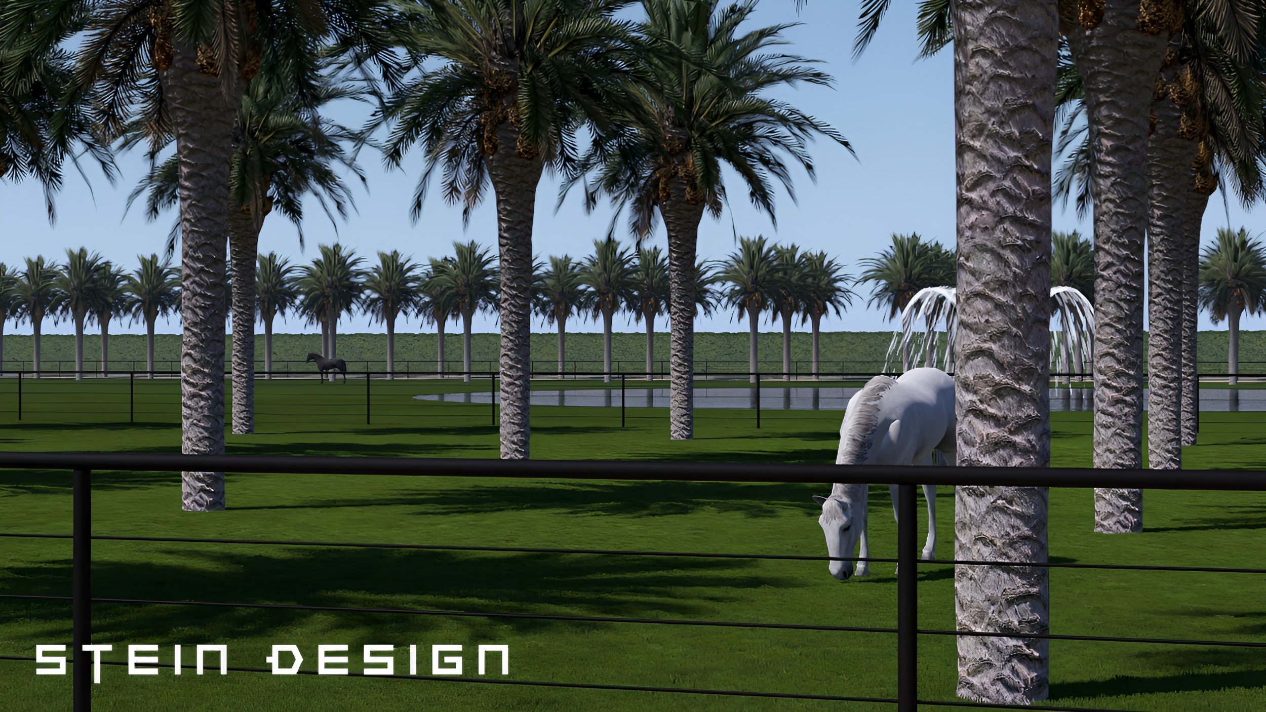 Desert Equestrian Update #240_11 - Photo.jpg