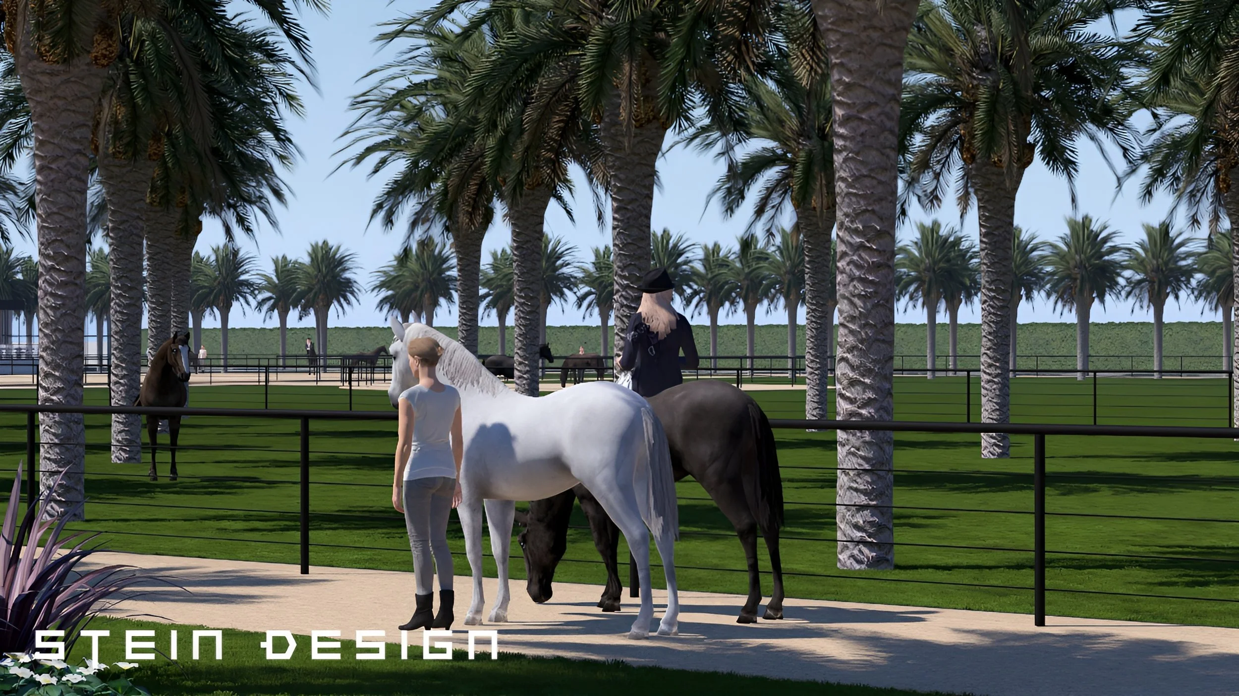 Desert Equestrian Update #250_96 - Photo.jpg