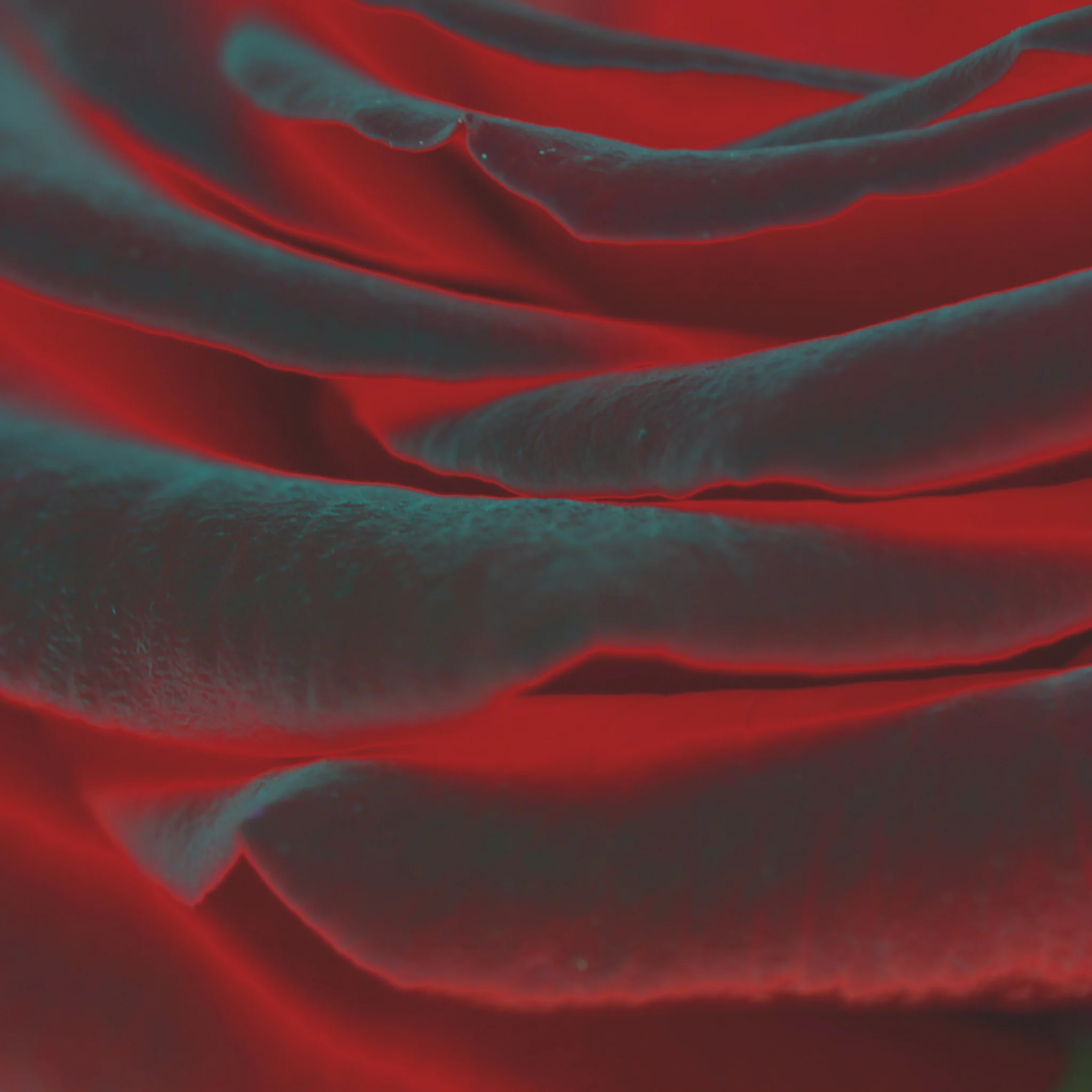 D10 Ascending Sq Devon uk.JPG