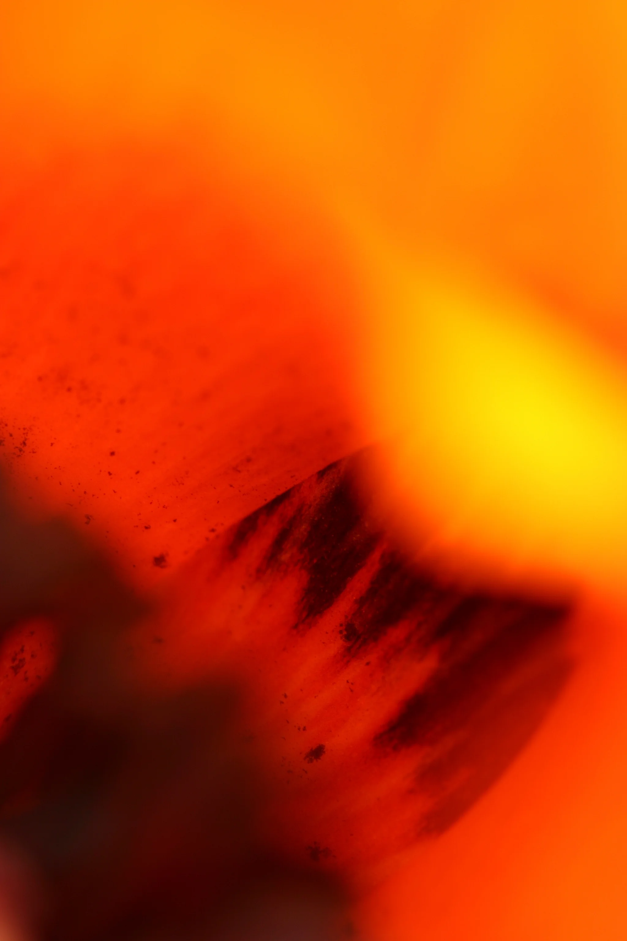 D10 Fire P Devon uk.JPG