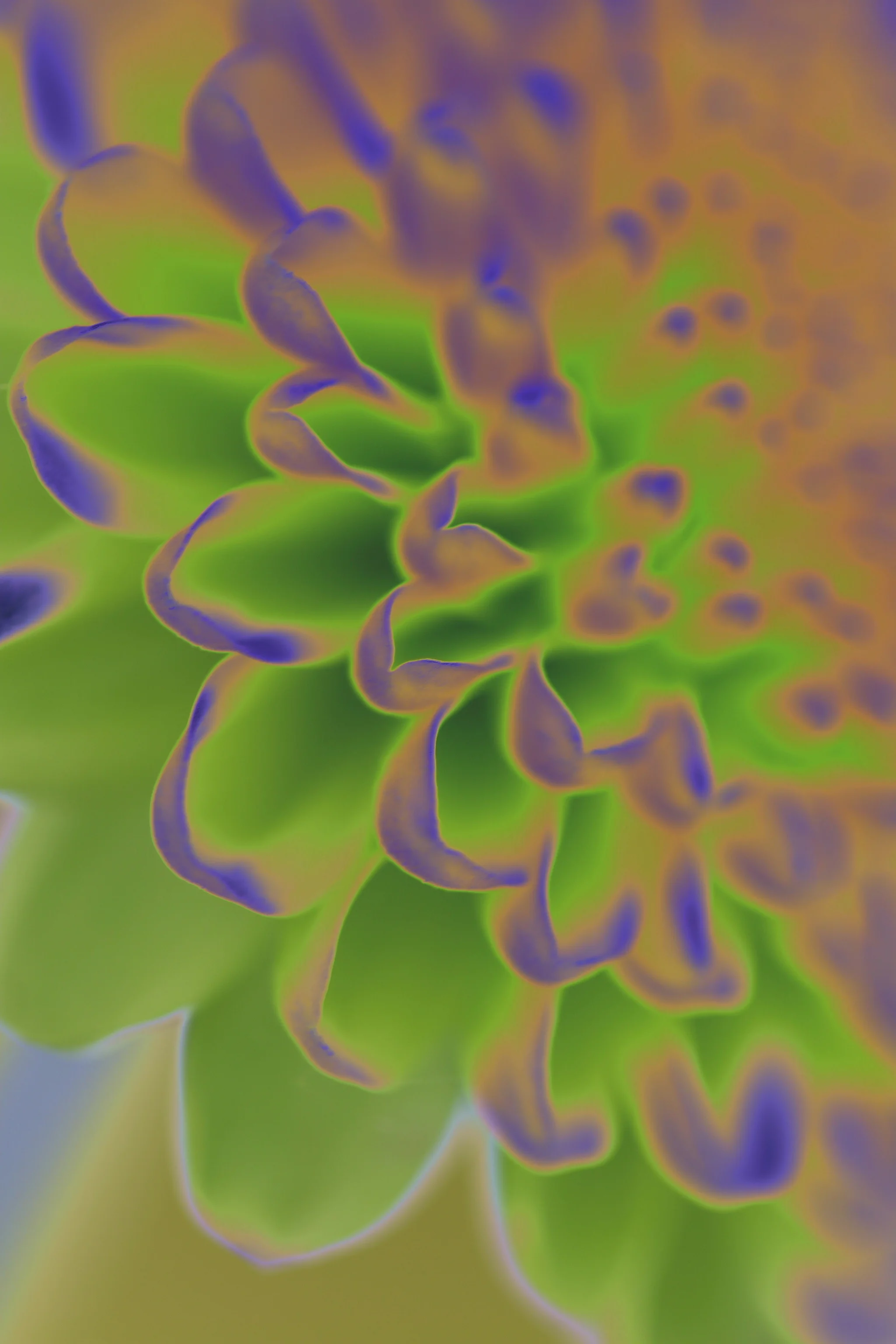 D10 Flare 1 P Devon uk.JPG