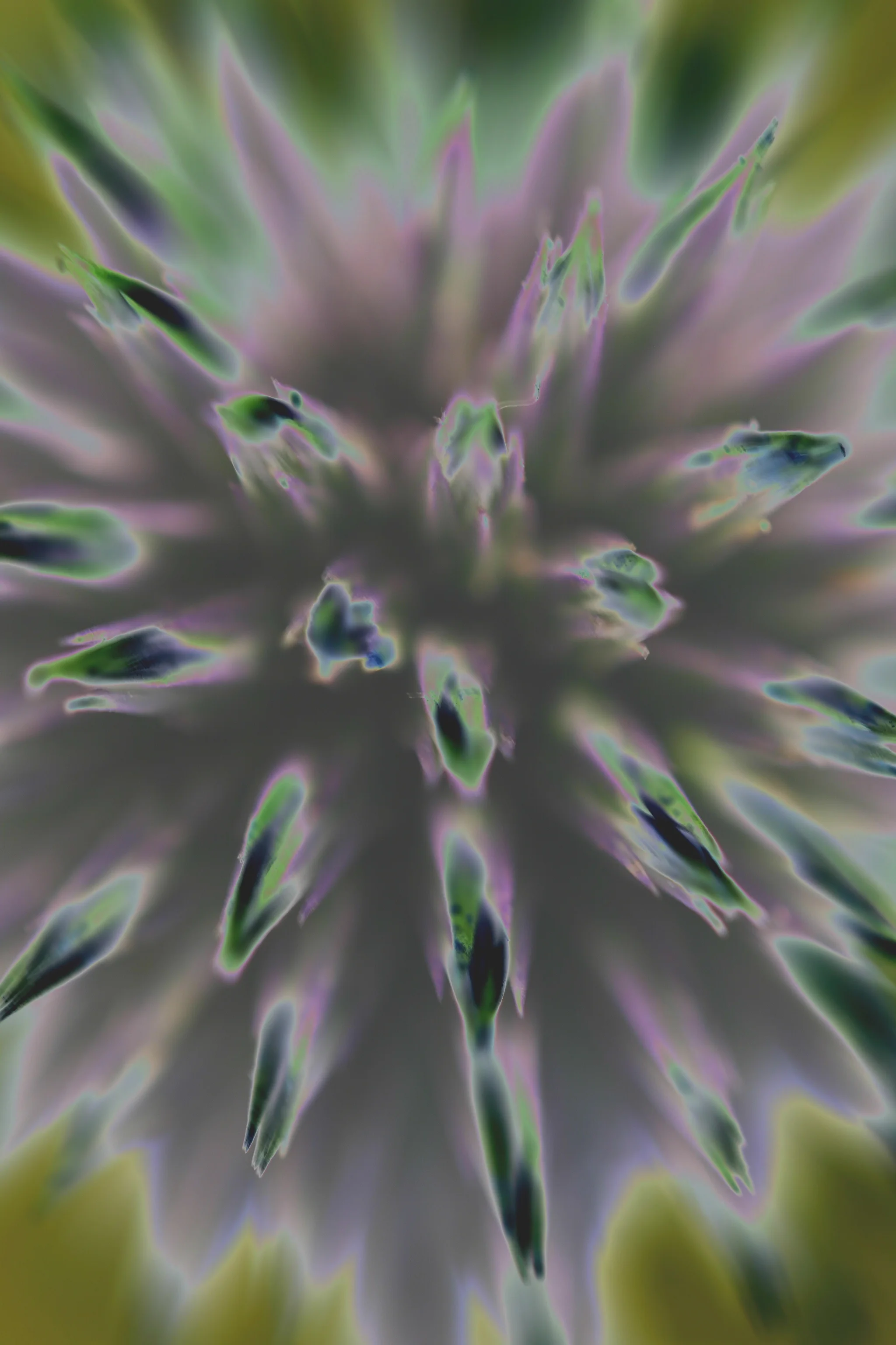 D10 Globe 1 P Devon uk.JPG