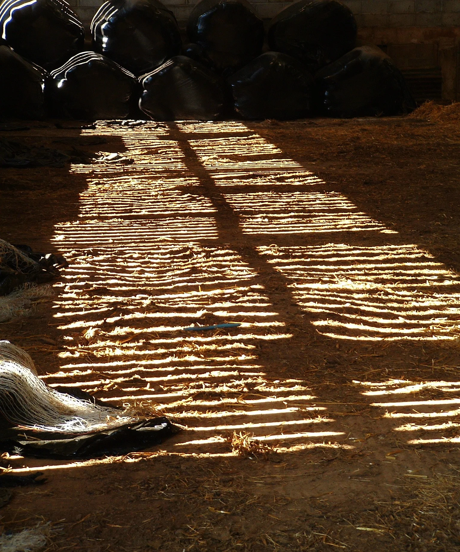 1Light Patterns 3 Devon UK.JPG