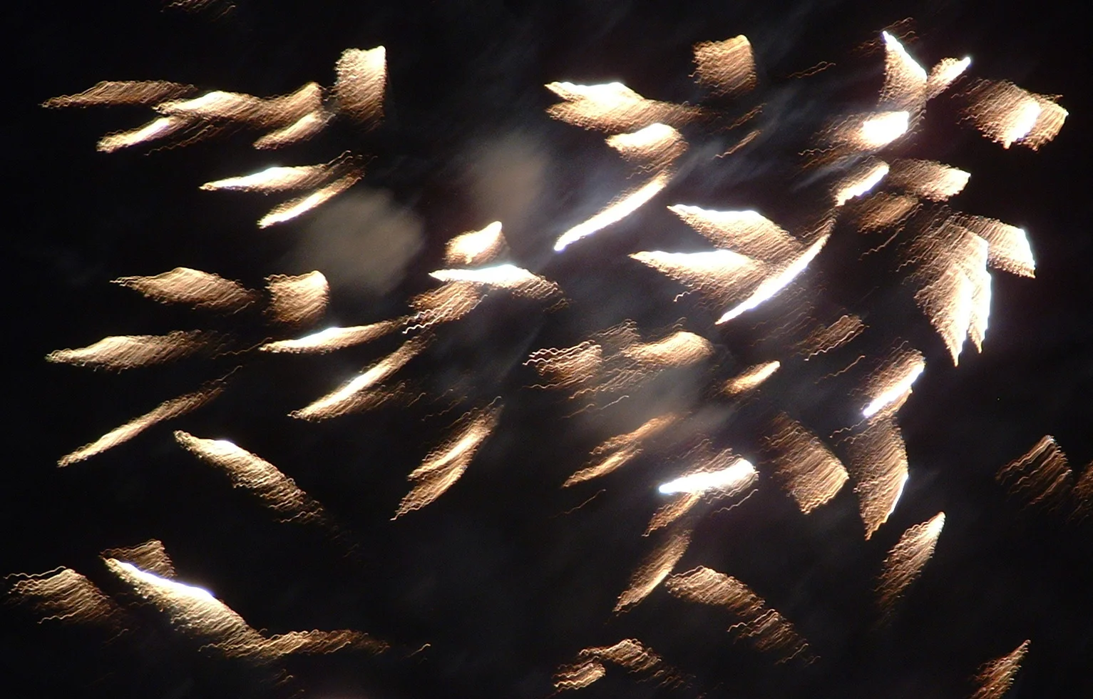 2 flight of fancy devon uk.JPG