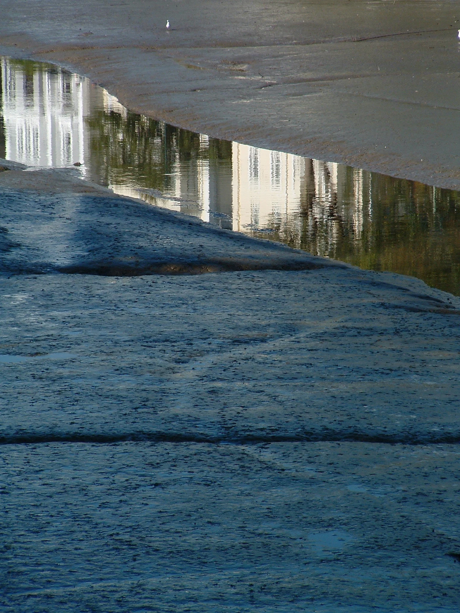 2 riverbed devon uk.JPG