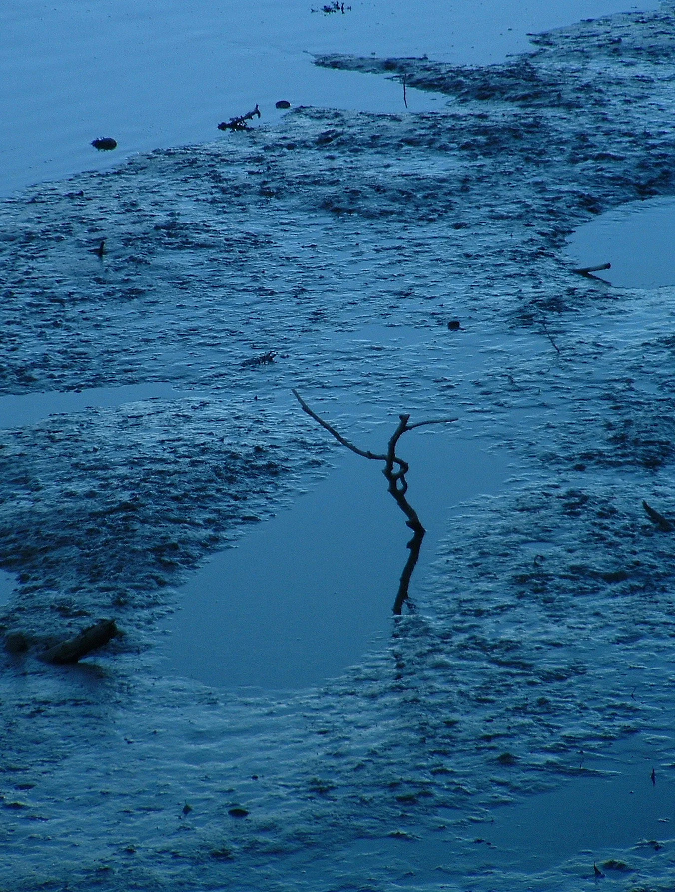 2 the blues devon uk.JPG