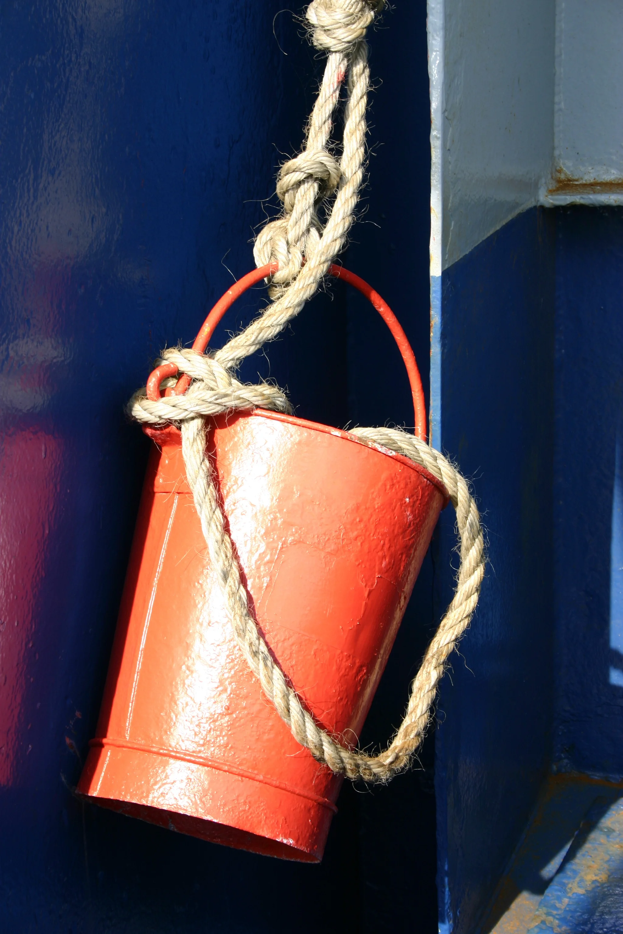 D3 Bucket coloured Devon uk.JPG