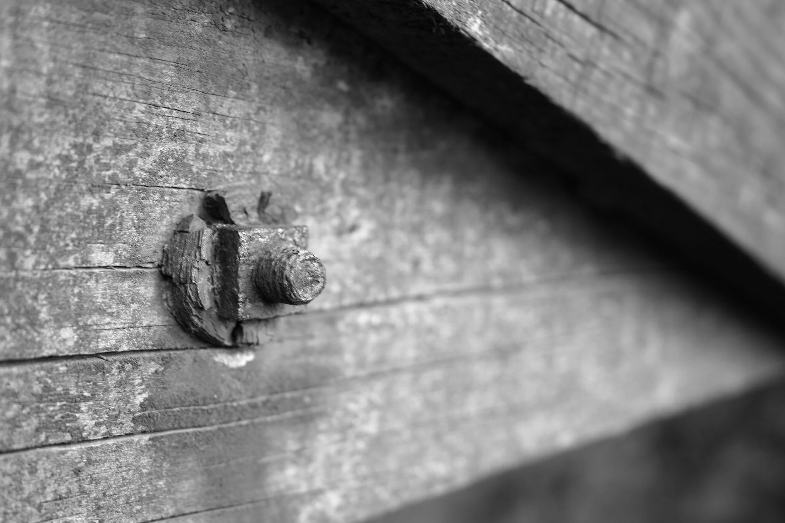 D3 Fence 2 Devon uk.JPG