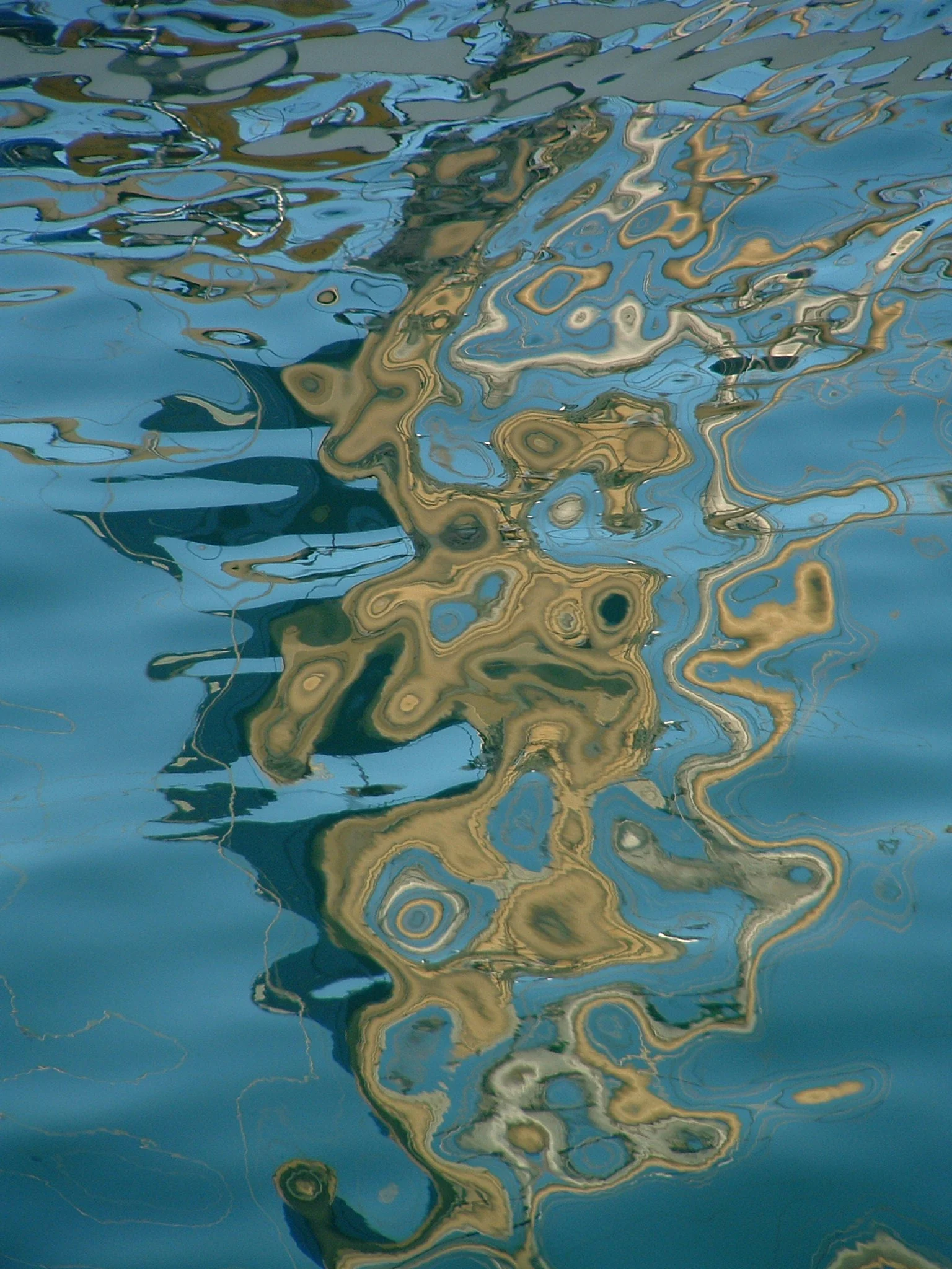 D4 Reflections  4 Devon uk.JPG