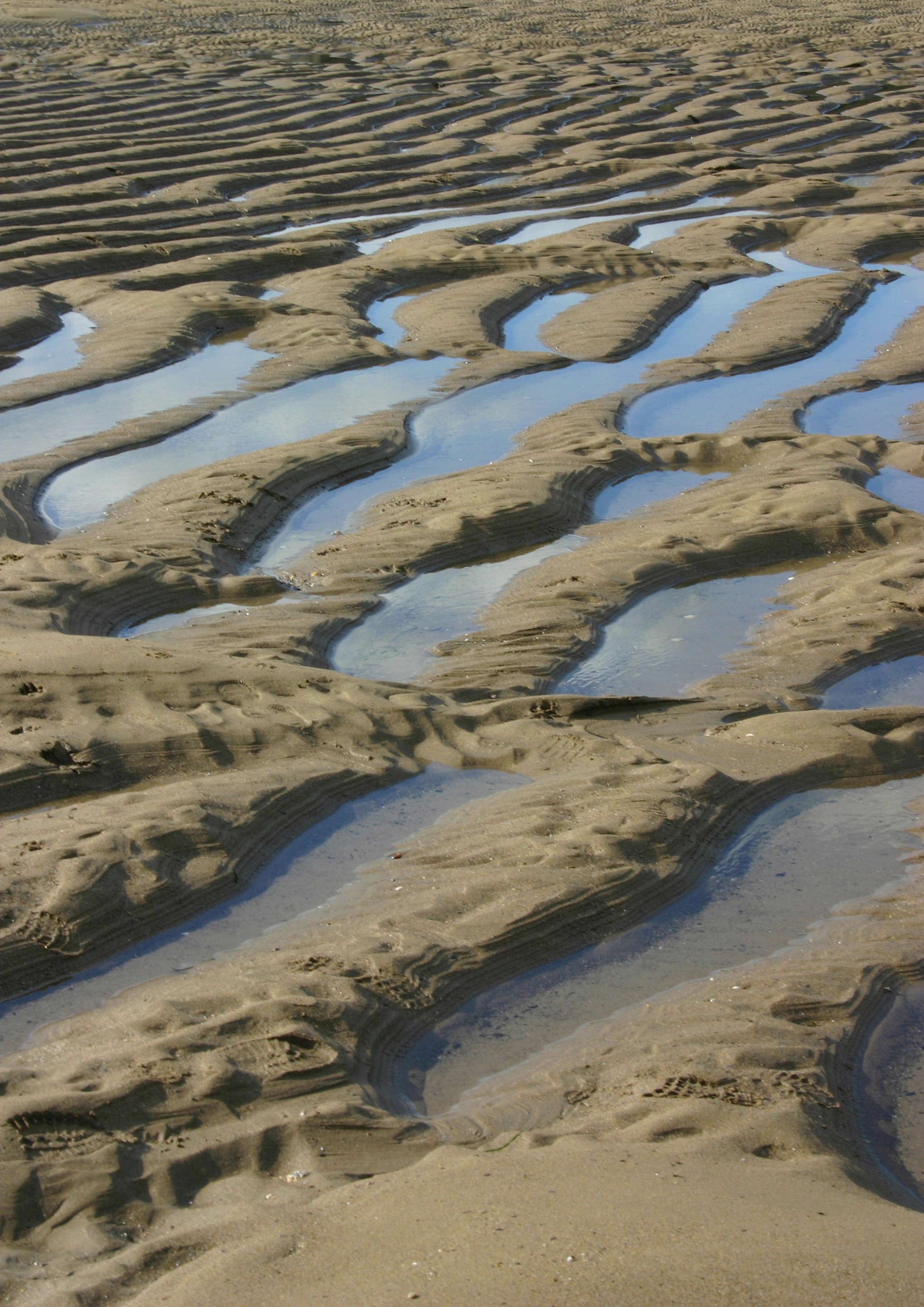 D4 Ripples 1 Devon uk.JPG