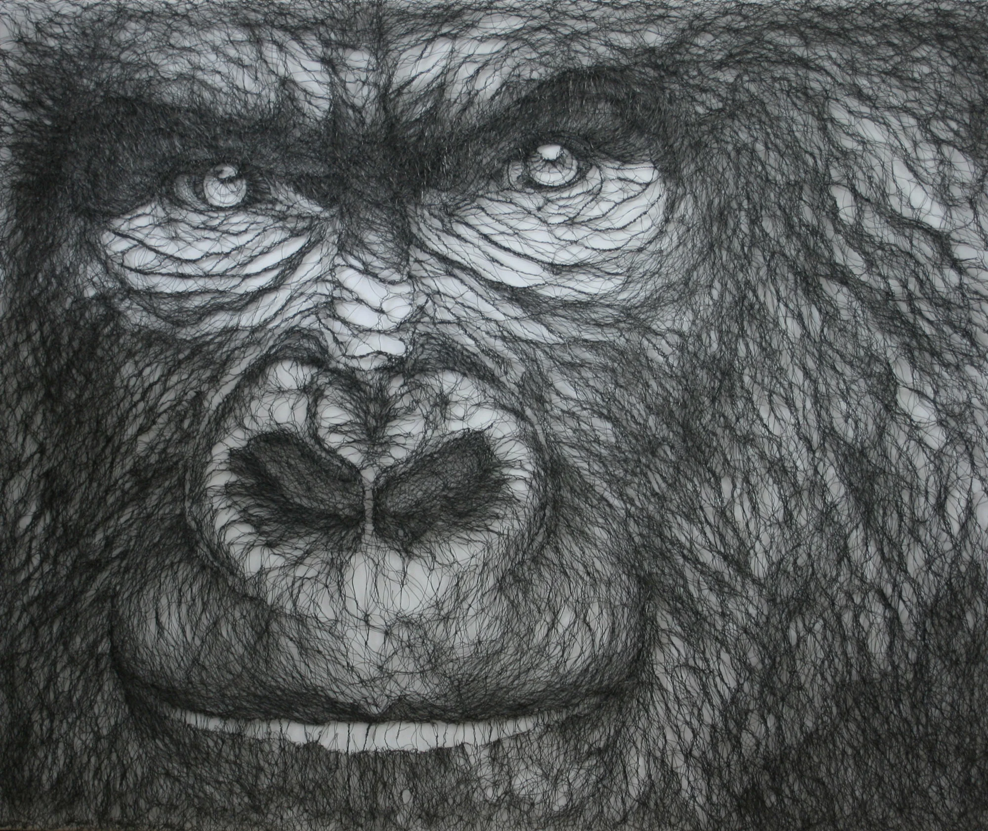 Gorilla