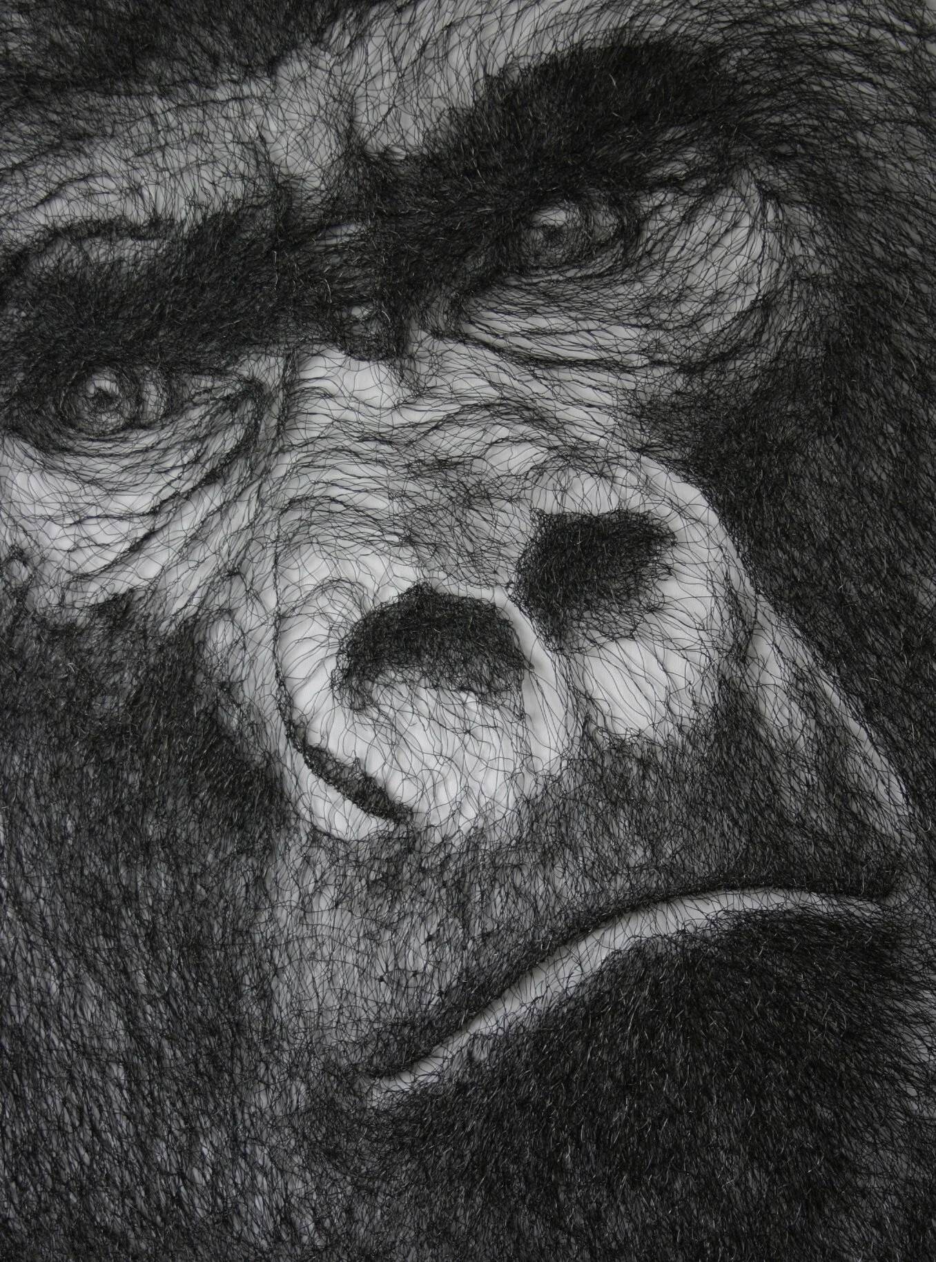 Commission - Gorilla II