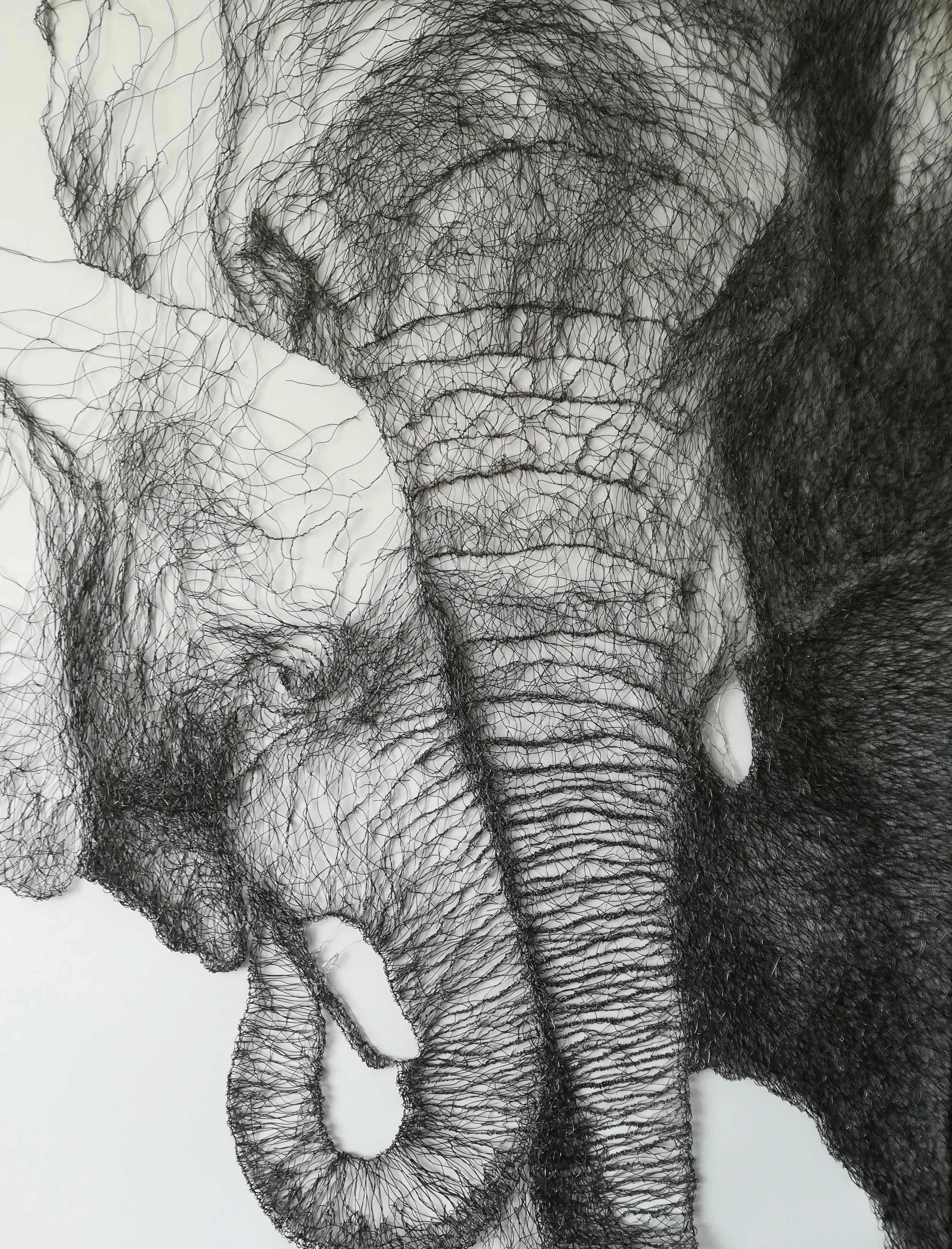Elephants II