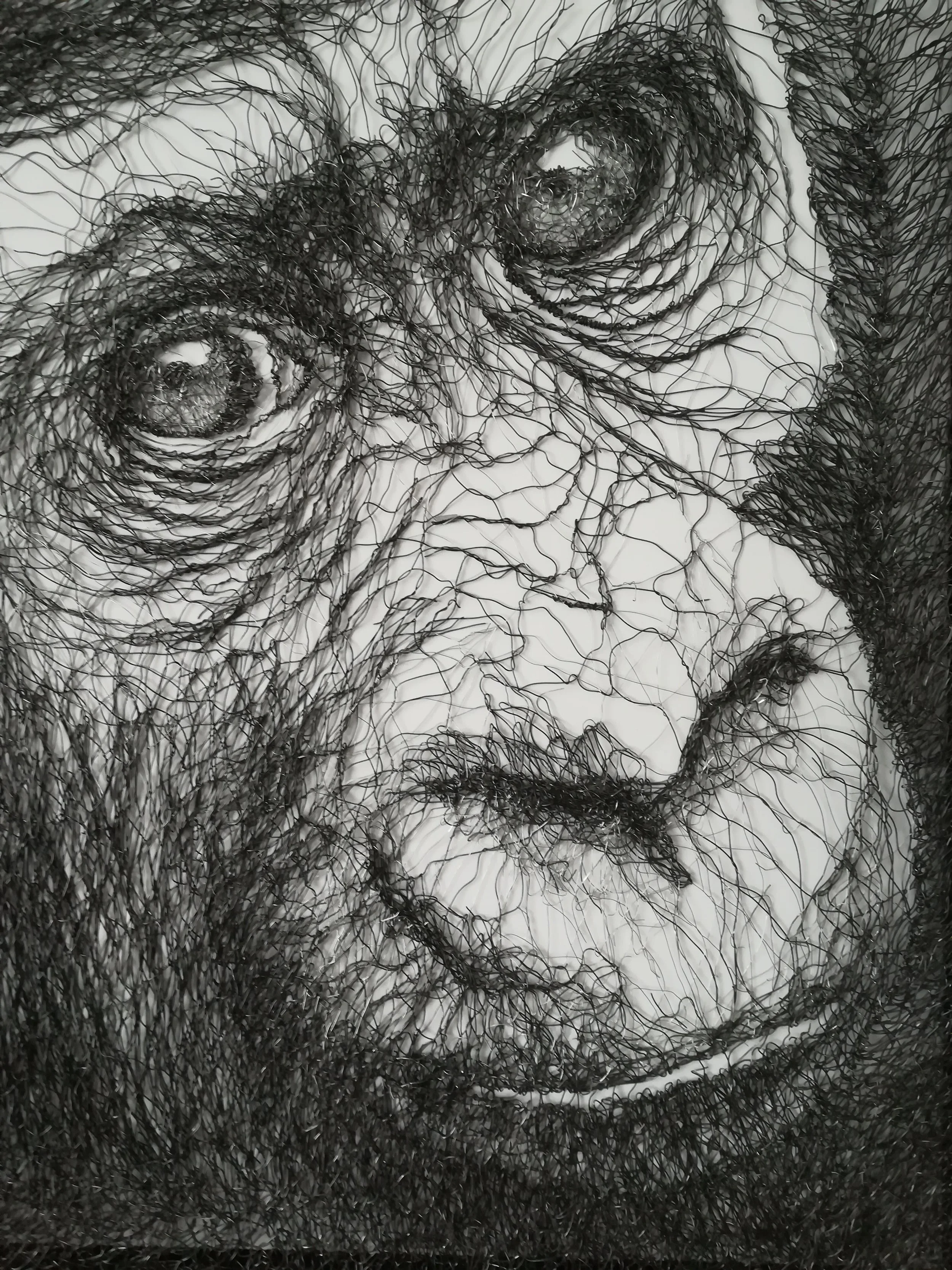 Gorilla Infant