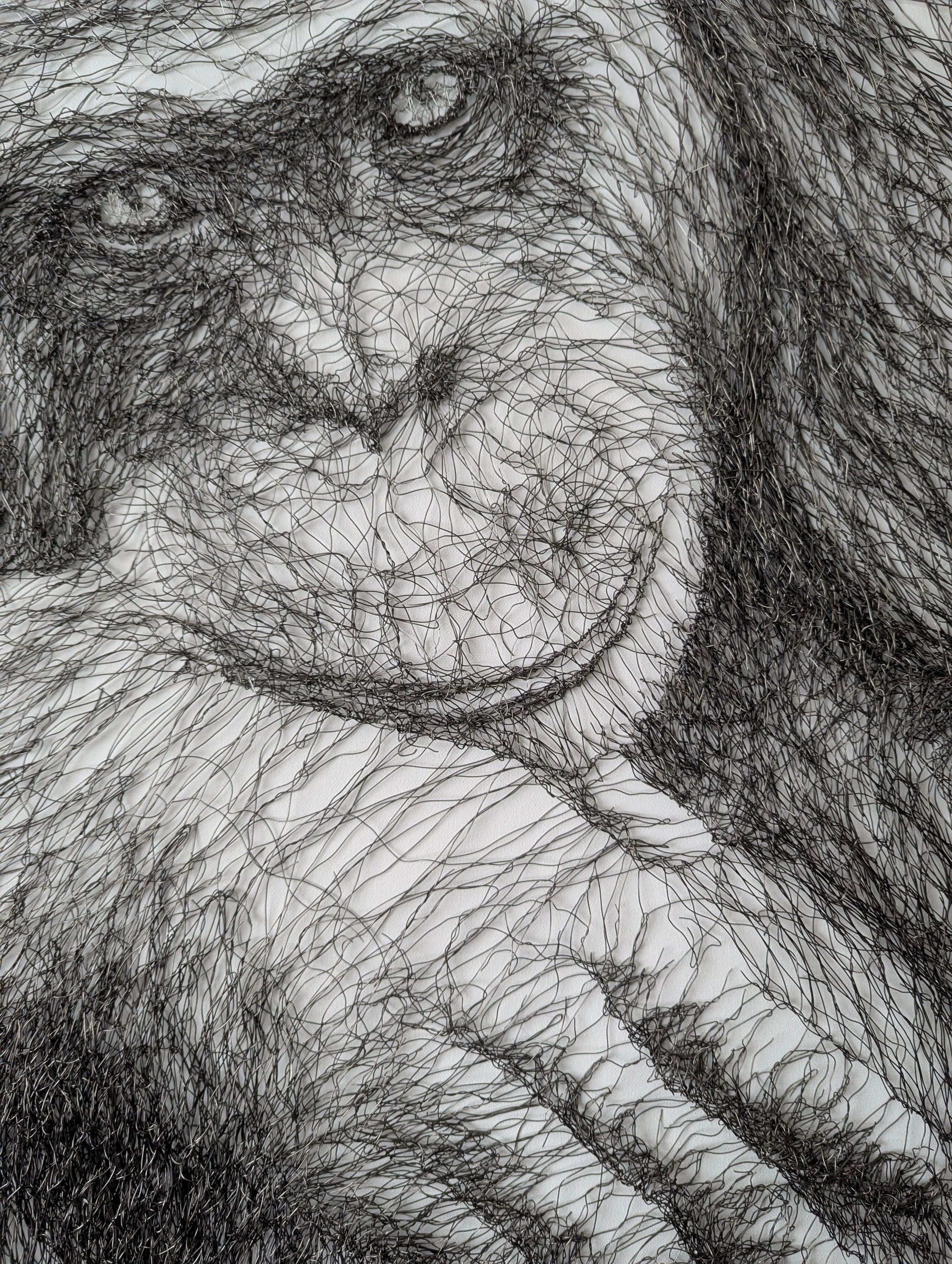 Sadie Aucott - Chimpanzee II - Close 3.jpg