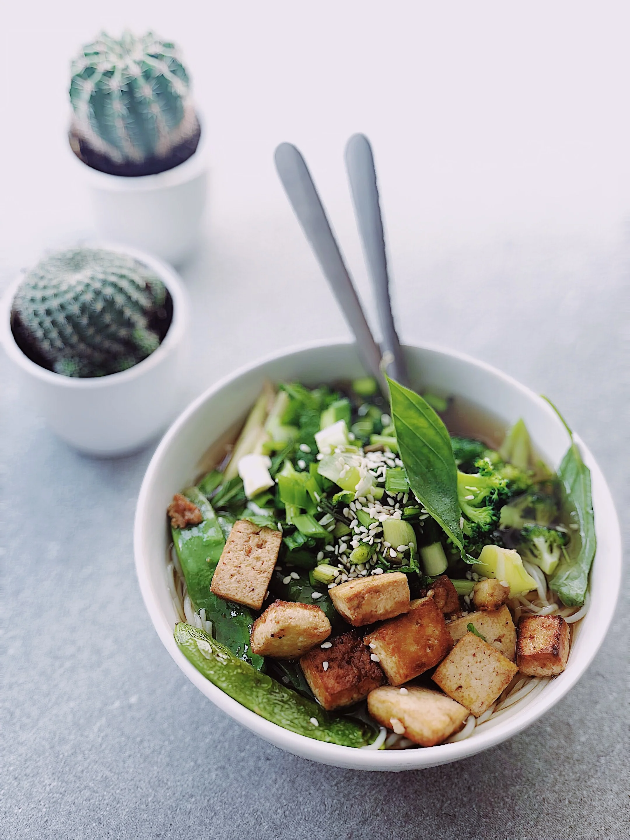 bowl-close-up-cooked-1070053.jpg