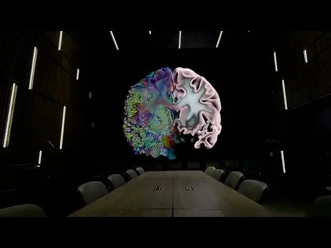 Tackling Alzheimer's disease with a multi-angled approach: The Keck School of Medicine of USC (Copy)