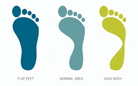 Foot Types.png