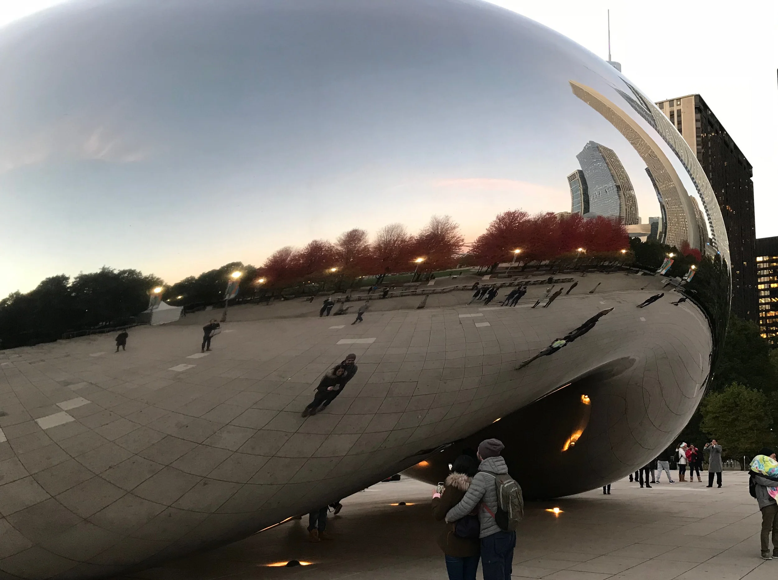 BeanHeader.jpg